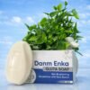 Danm Enka Gluta Soap